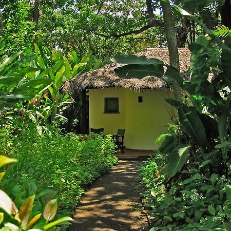 Moivaro Coffee Lodge อารูชา ภายนอก รูปภาพ