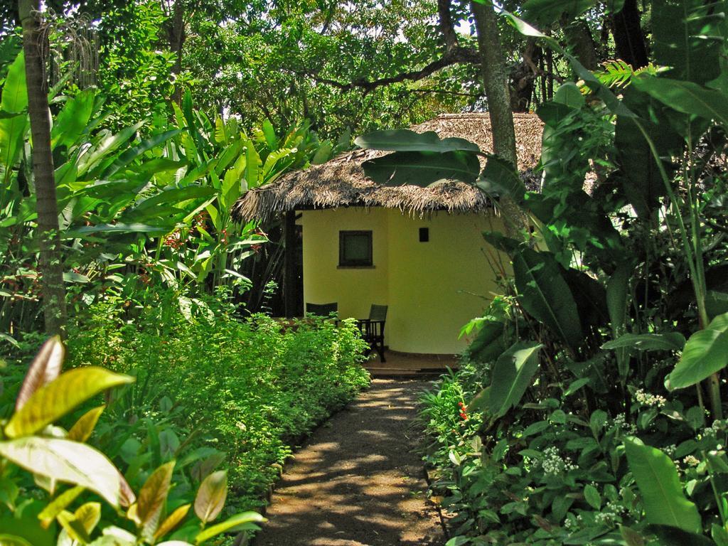 Moivaro Coffee Lodge อารูชา ภายนอก รูปภาพ